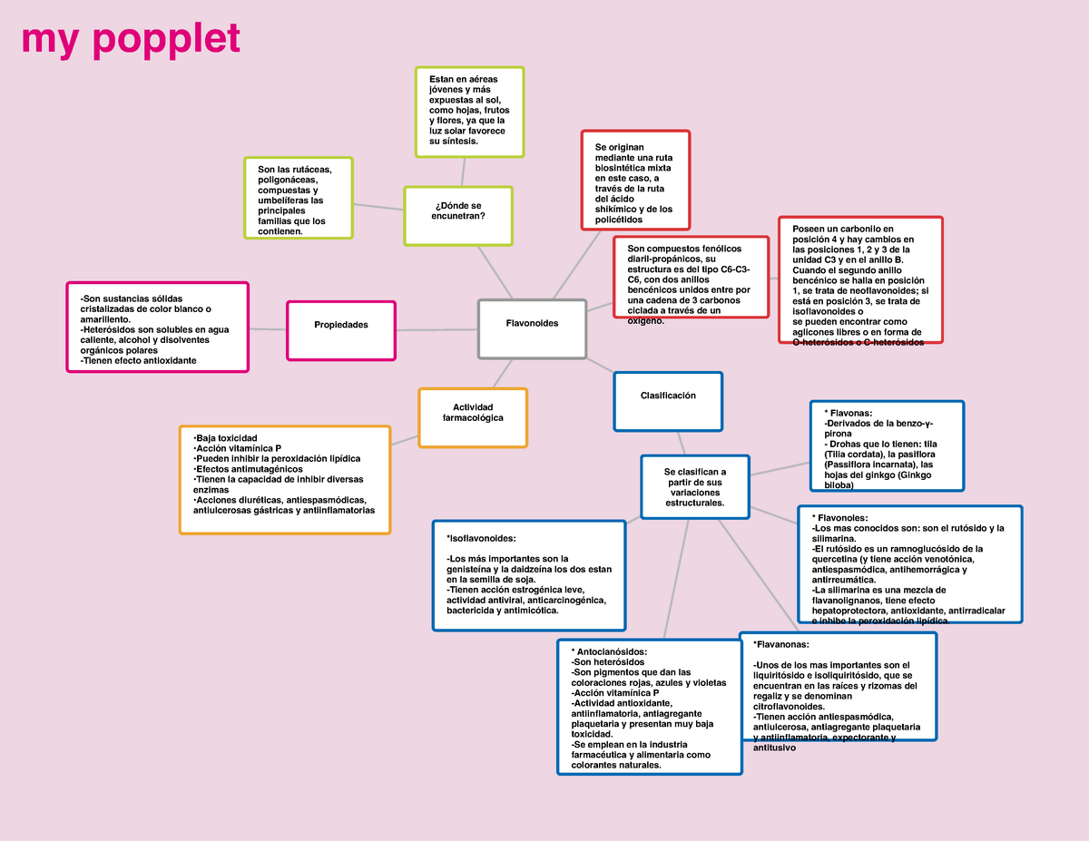 Articulo Mapa Conceptual De Flavonoides Farmacognosia Conocimiento Porn Sex Picture