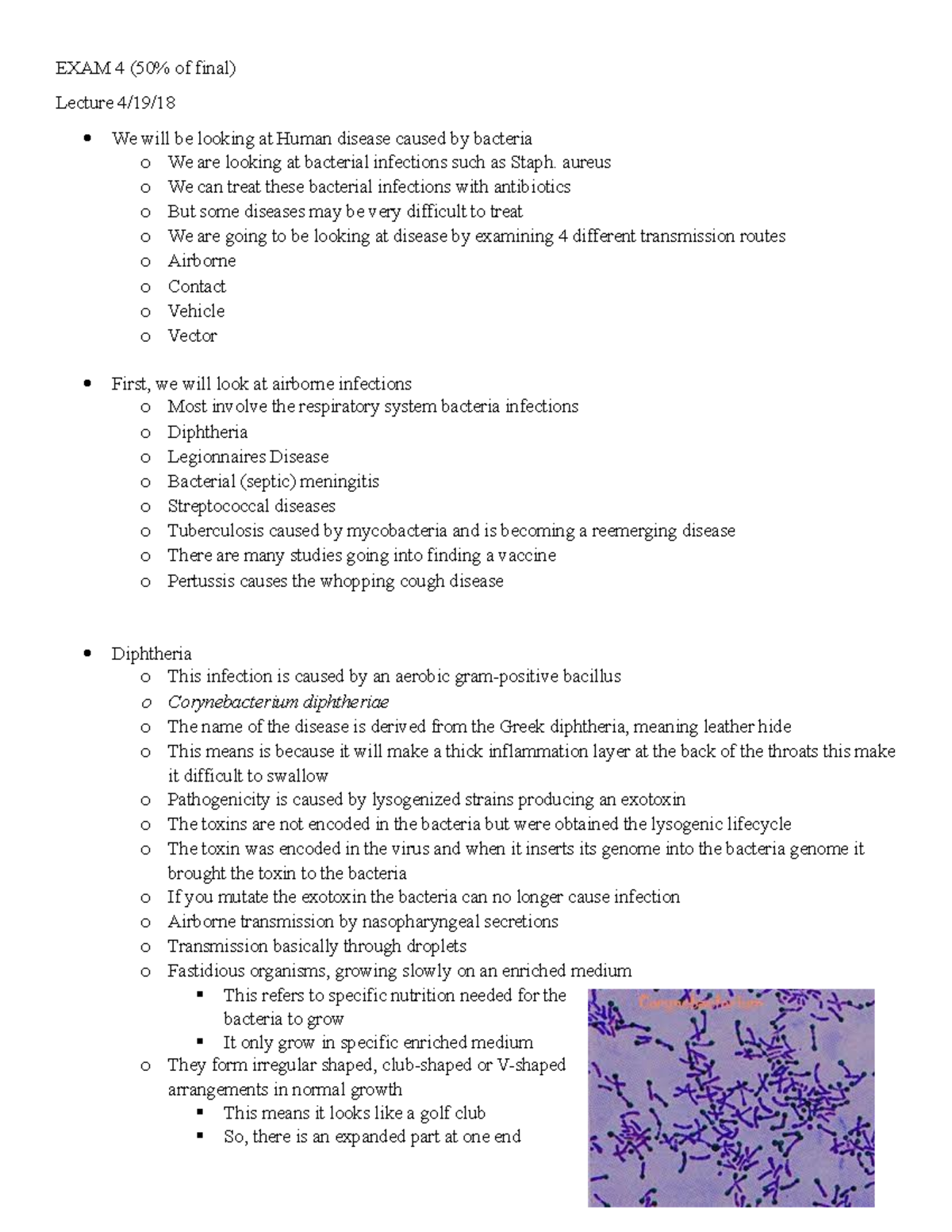 Microbiology Exam 4 - Lecture Notes Covering All The Material For Final ...