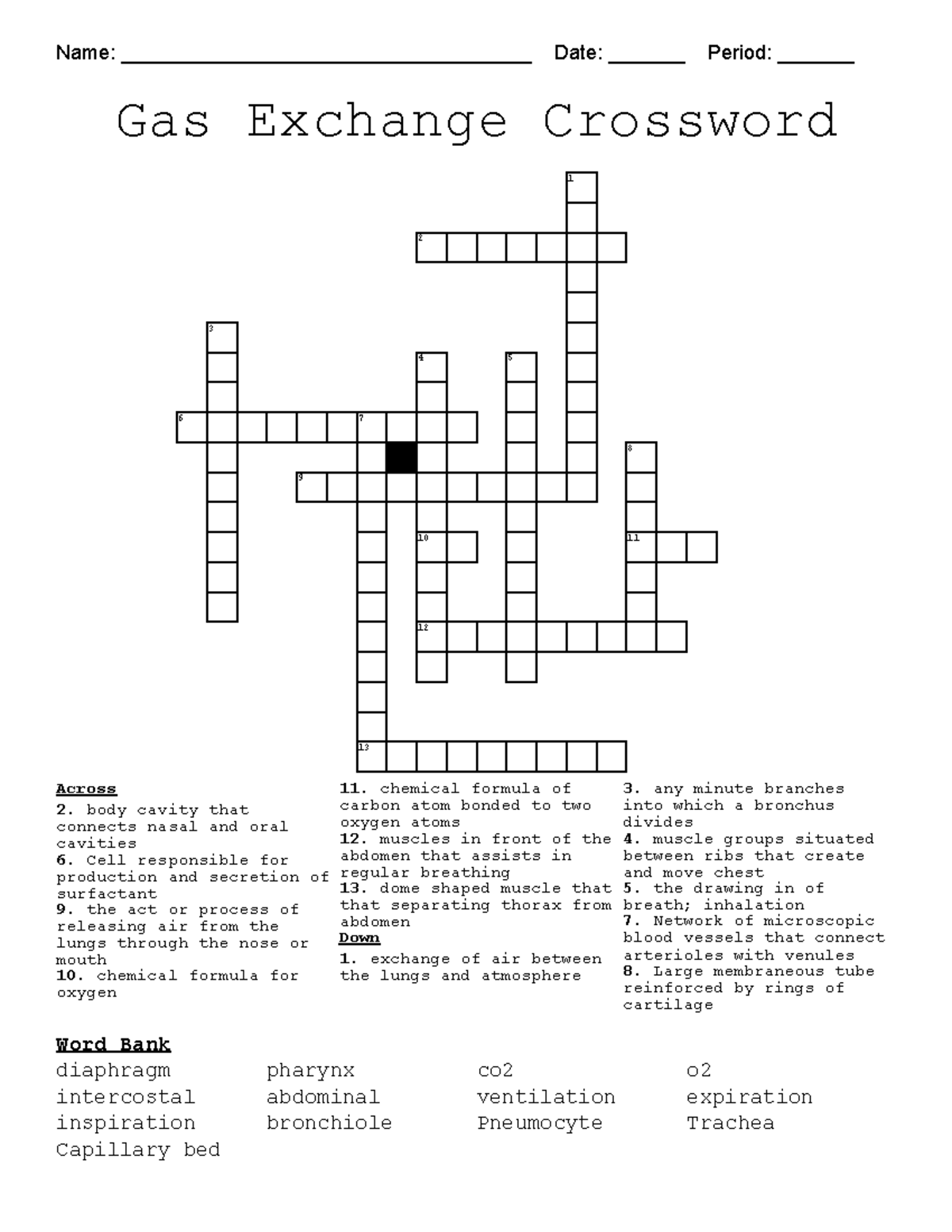 Gas Exchange Crossword 182d60 61630 e99 knowledge of the day na na na