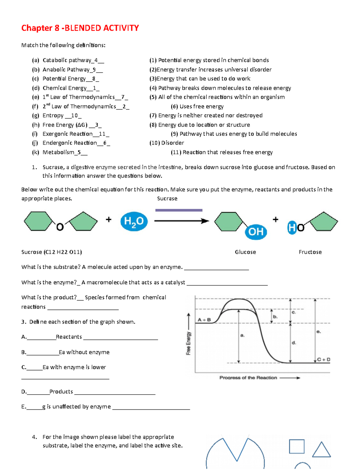 WEEK 5-HW- Chapter 8 - Biology N0tes Bform. Fhwoqbf Fnfowe Ndmd ...