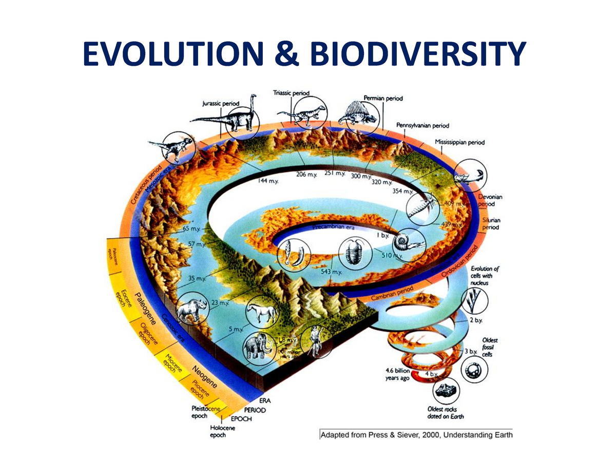 Эволюция земли. Геохронологическая шкала спираль. Geological time Scale. Eons of Earth.