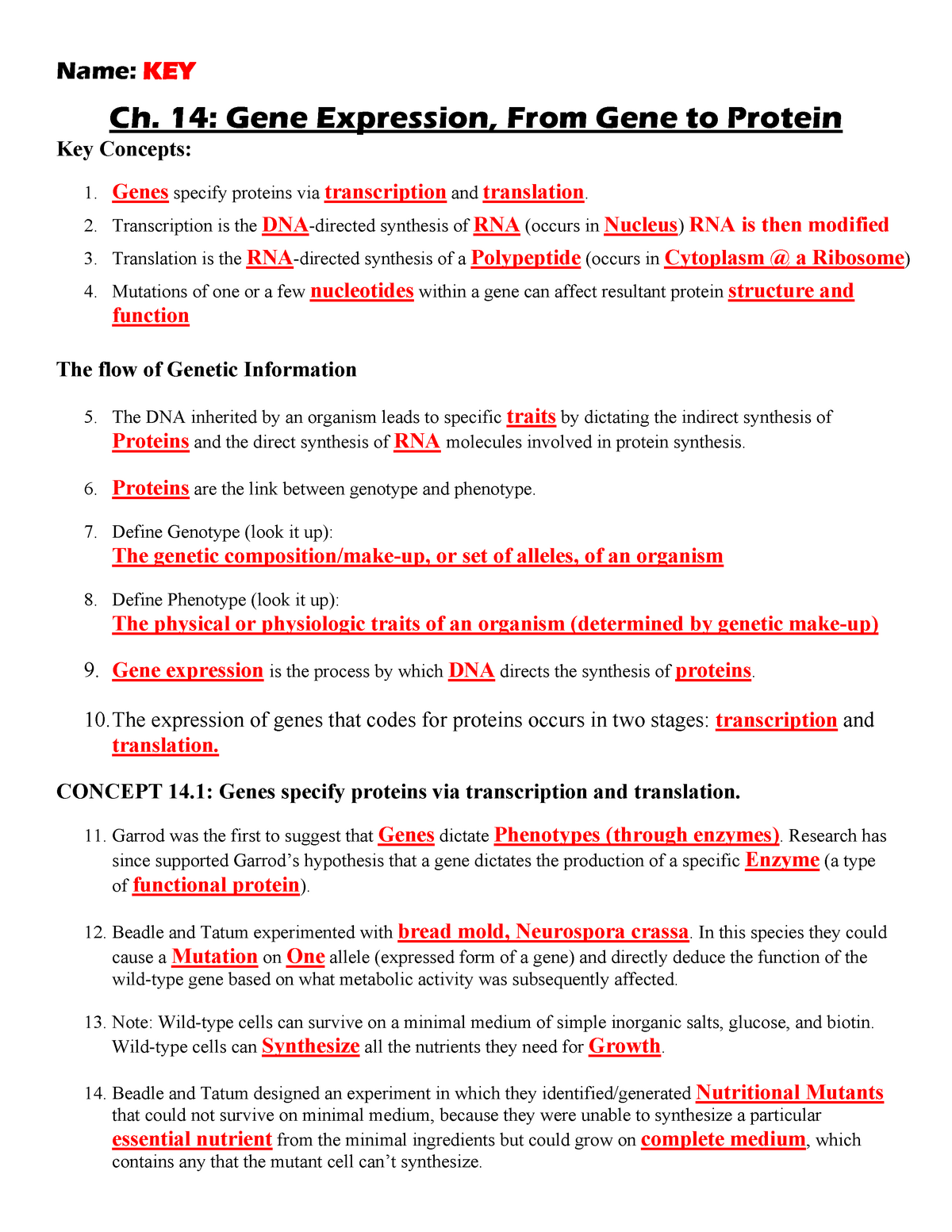 control-of-gene-expression-in-prokaryotes-answer-key-pogil-eutonie-answer-key-for-worksheet-guide