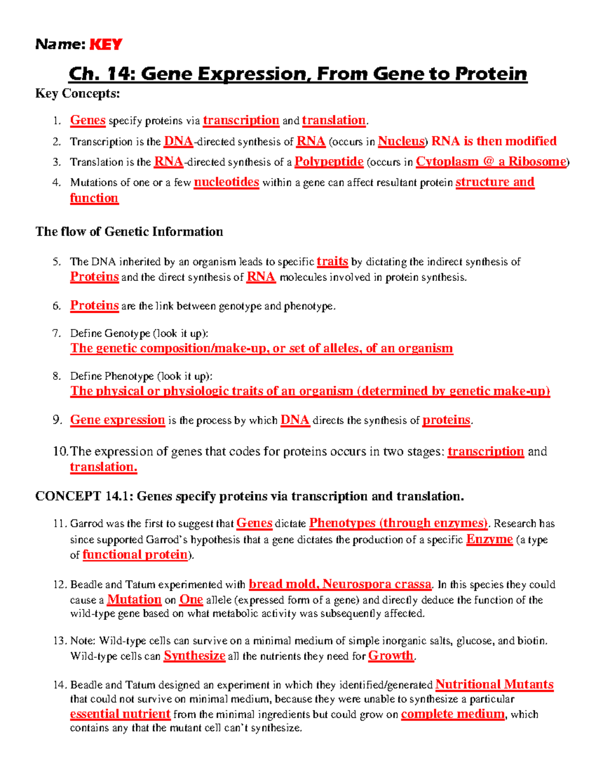 Ch 14 Gene To Protein KEY 2017 Name KEY Ch 14 Gene Expression From Gene To Protein Key 