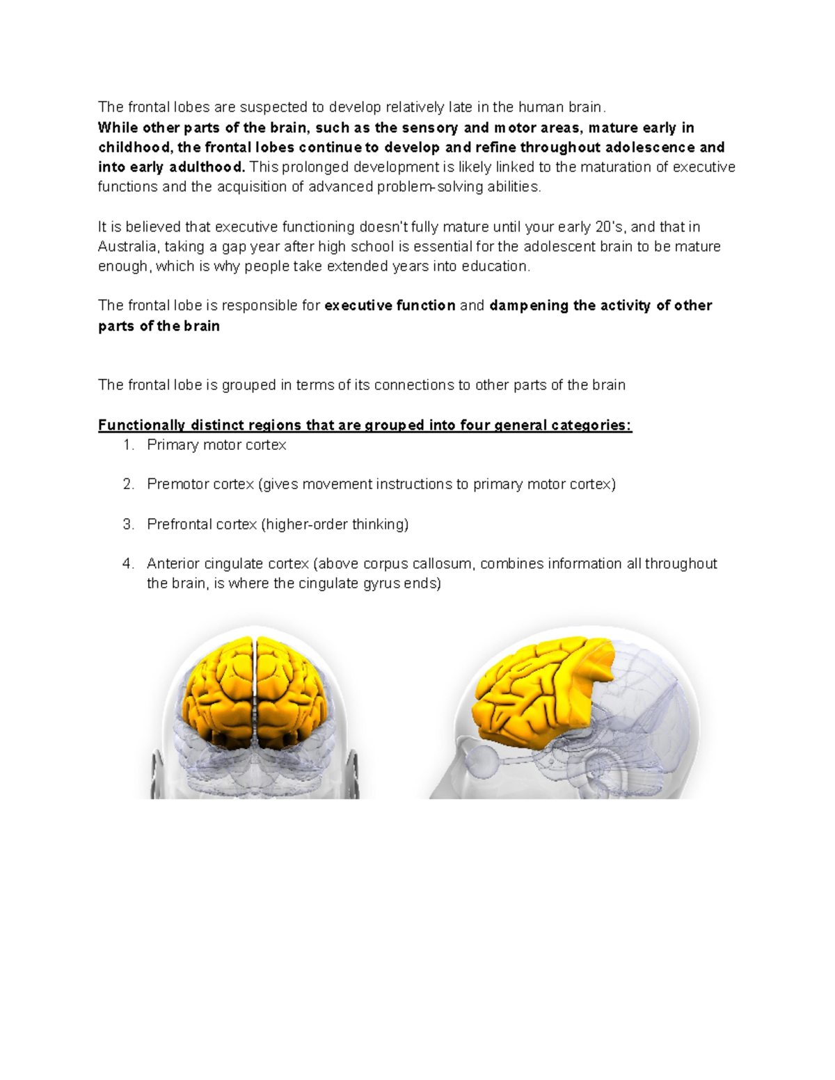 16 frontal lobe - The frontal lobes are suspected to develop relatively ...