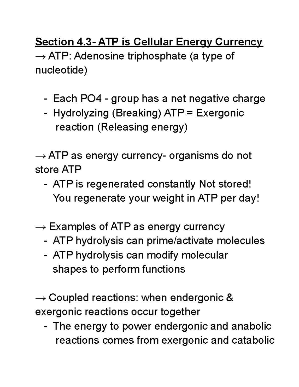 Chapter 4 Section 3 And 4 - Section 4- ATP Is Cellular Energy Currency ...