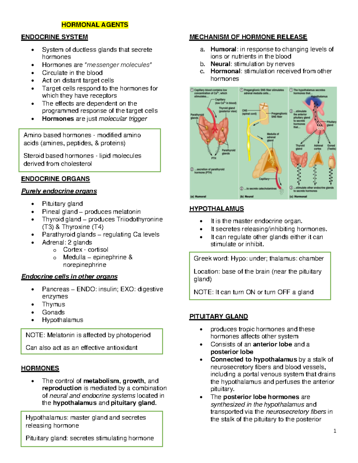 Hormonal- Agents - ZXZXZ - 1 HORMONAL AGENTS ENDOCRINE SYSTEM System of ...