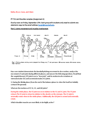 Biomechanics Final Questions - PT 711 - Studocu