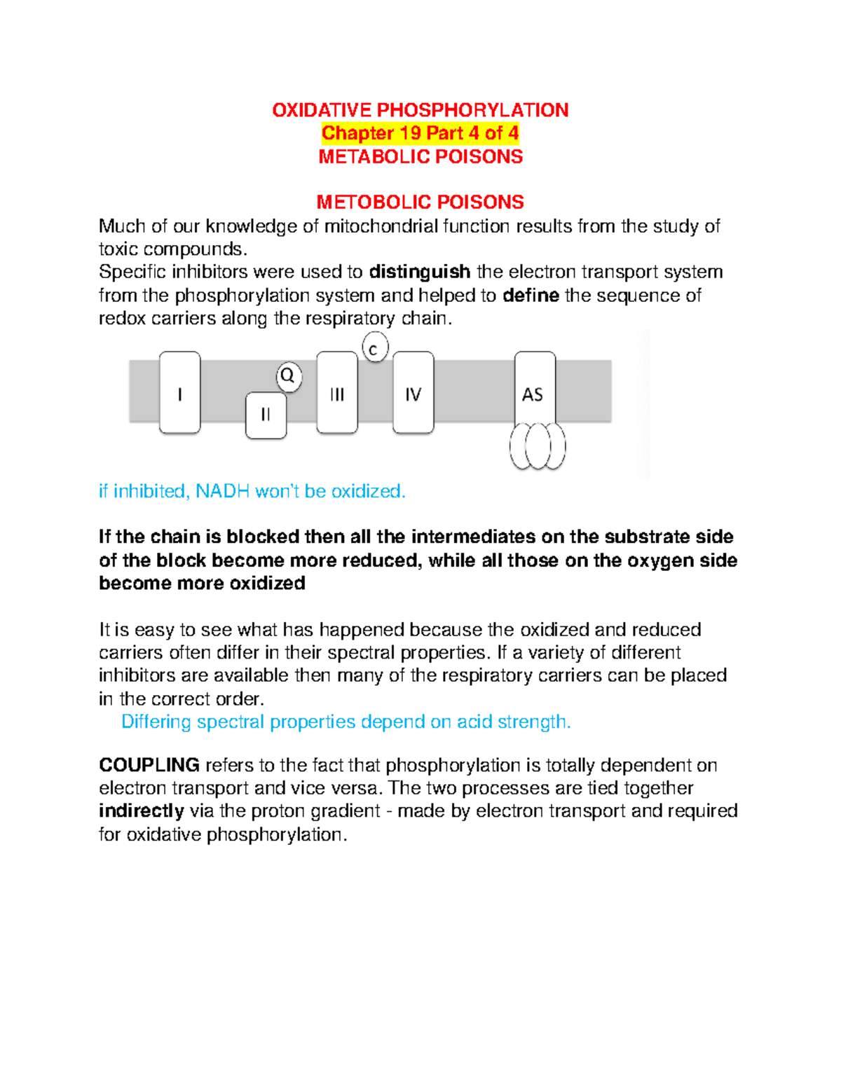 Oxidative Phosphorylation Answer Key