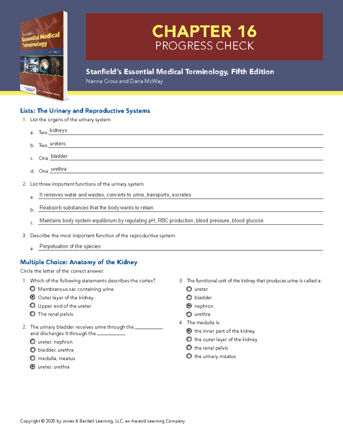 Decoding Ppx: Your Essential Medical Terminology Guide - 6n9qt05