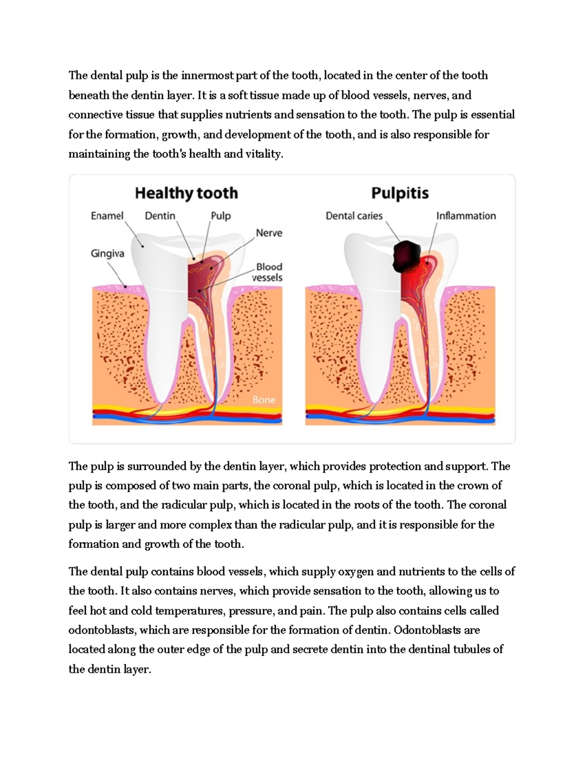 Parts of the teeth The dental pulp is the innermost part of the tooth