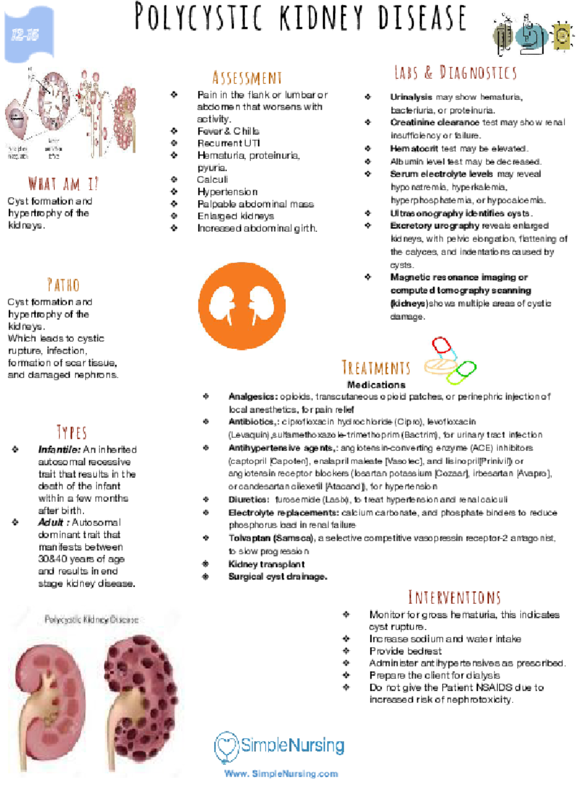 Polycystic Kidney Disease - 230 - Studocu