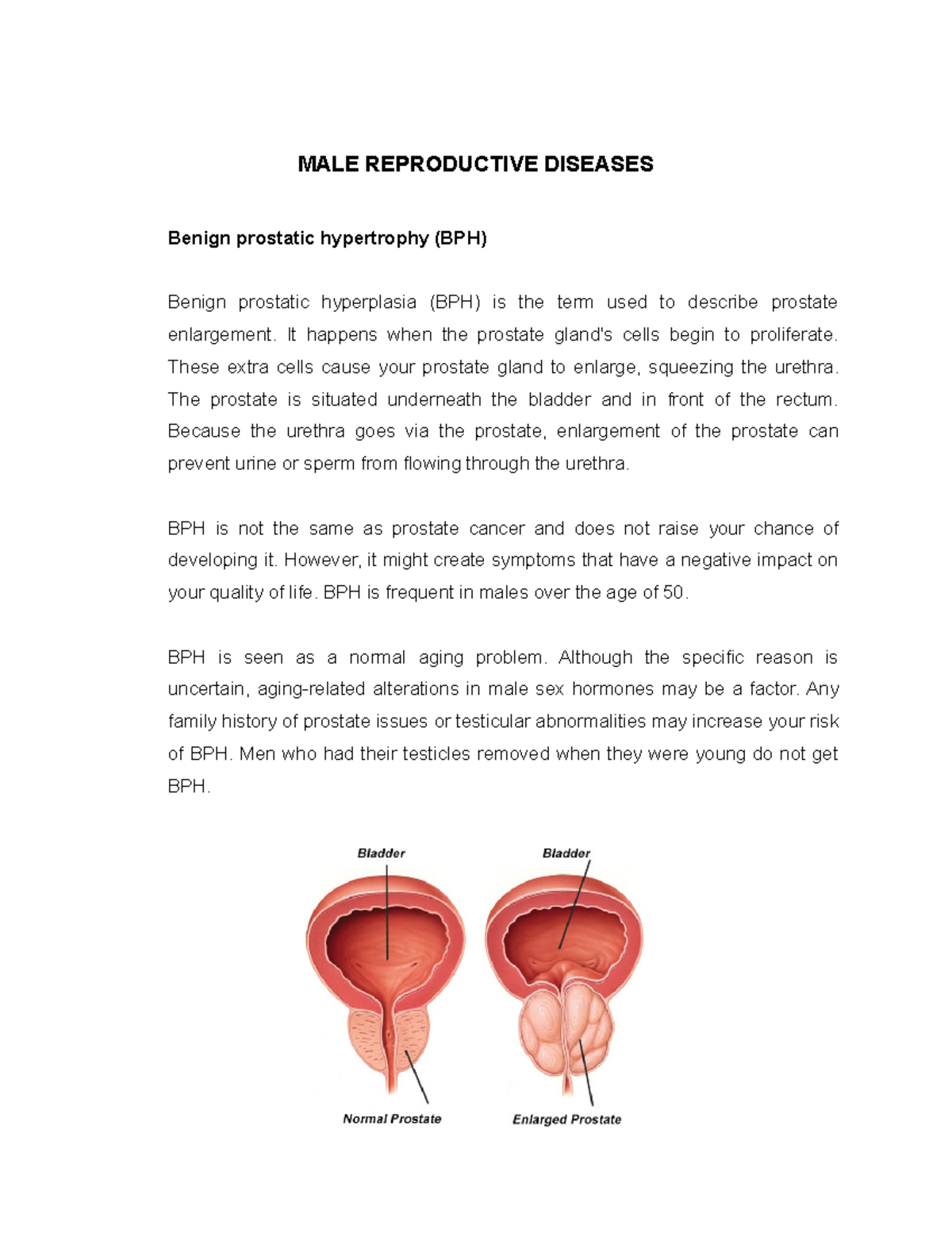 Human REP MRS Diseases - Summary Maternal and Child Health Nursing ...