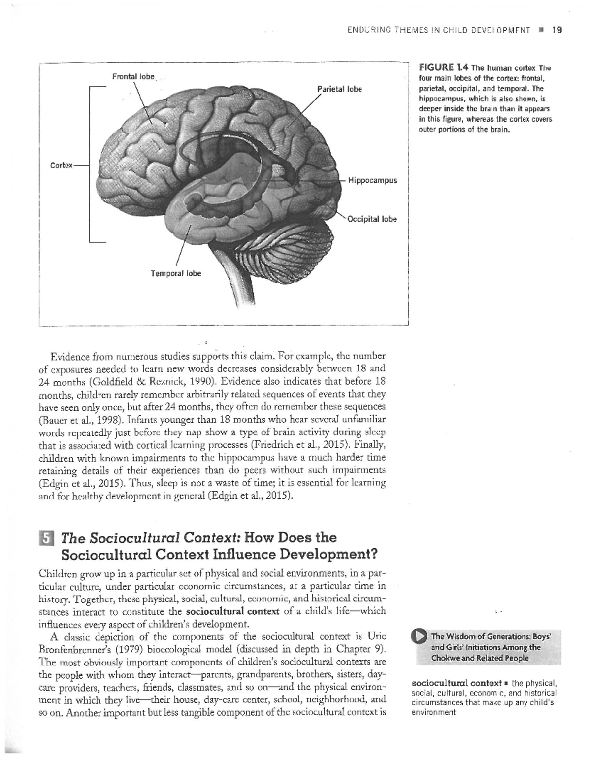 child-development-pgs-19-27-enduring-themes-in-child-development-l-19