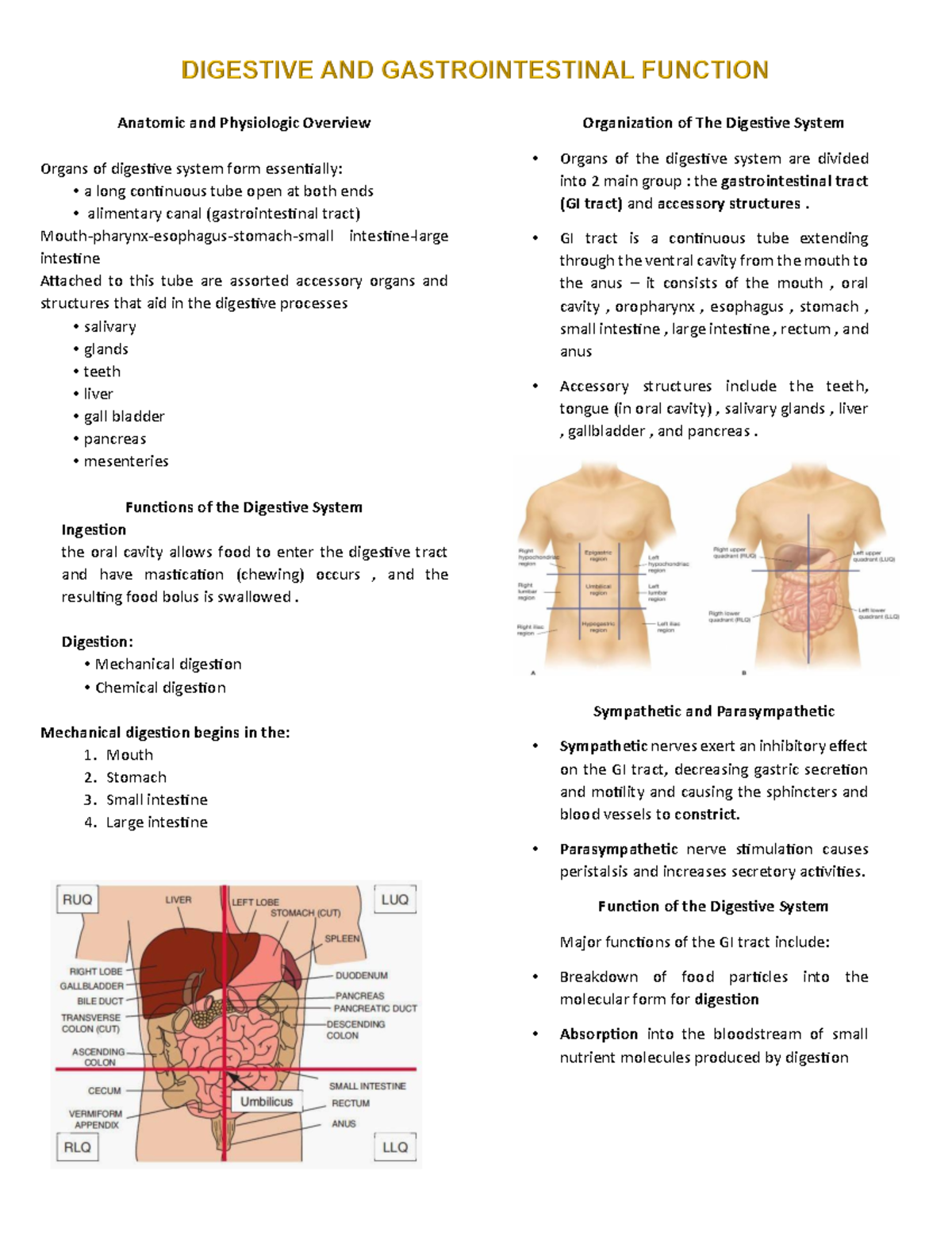 MedSurg 2 Lecture Notes Midterms - Anatomic and Physiologic Overview ...