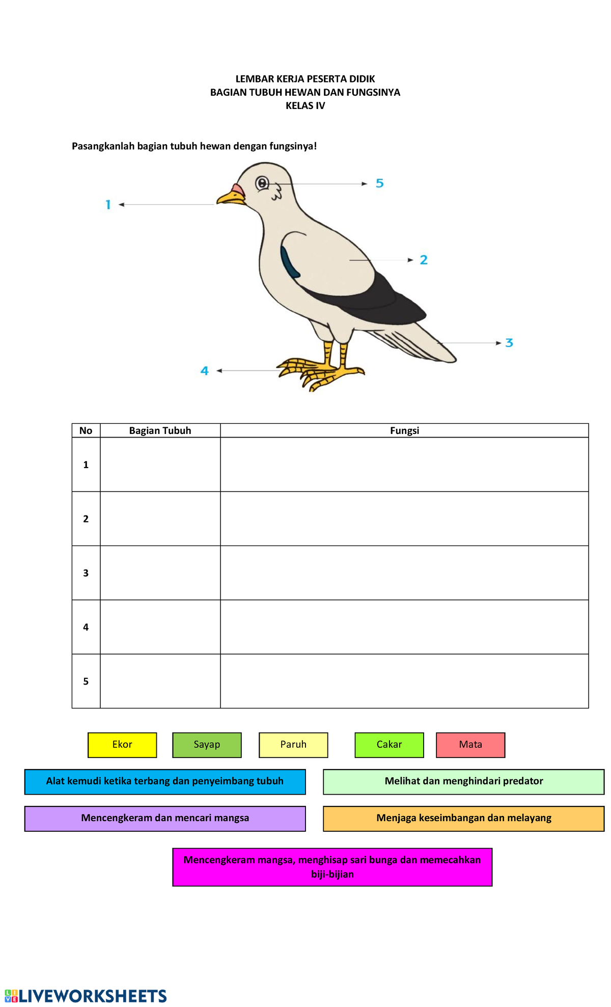 Mengenal Bagian Tubuh Hewan dan Fungsinya: Petualangan Seru di Dunia Fauna!