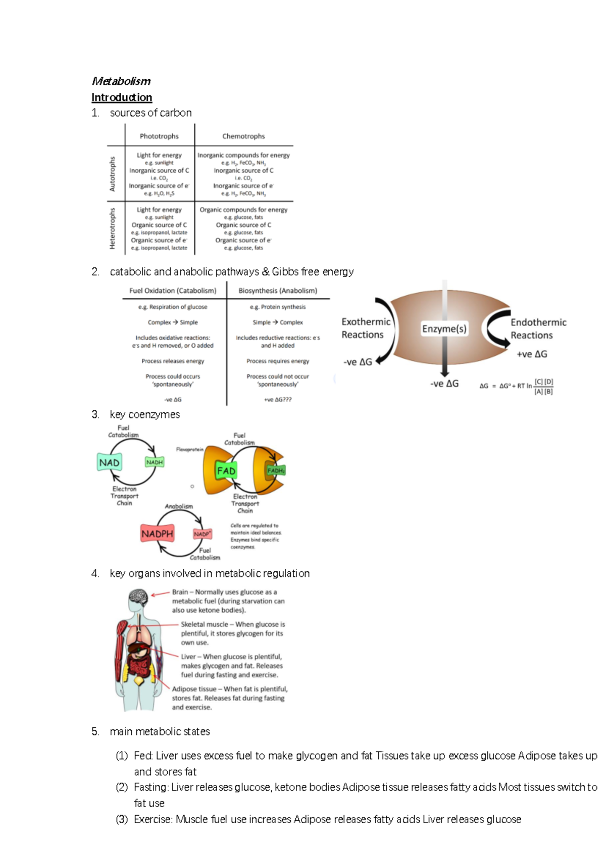 Bioc notes - Metabolism Introduction sources of carbon catabolic and ...