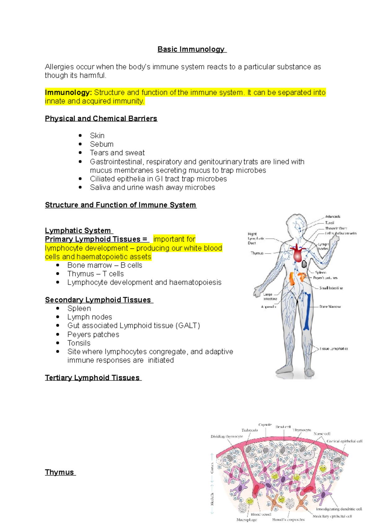 Basic Immunology - Lecture Notes - Basic Immunology Allergies Occur ...