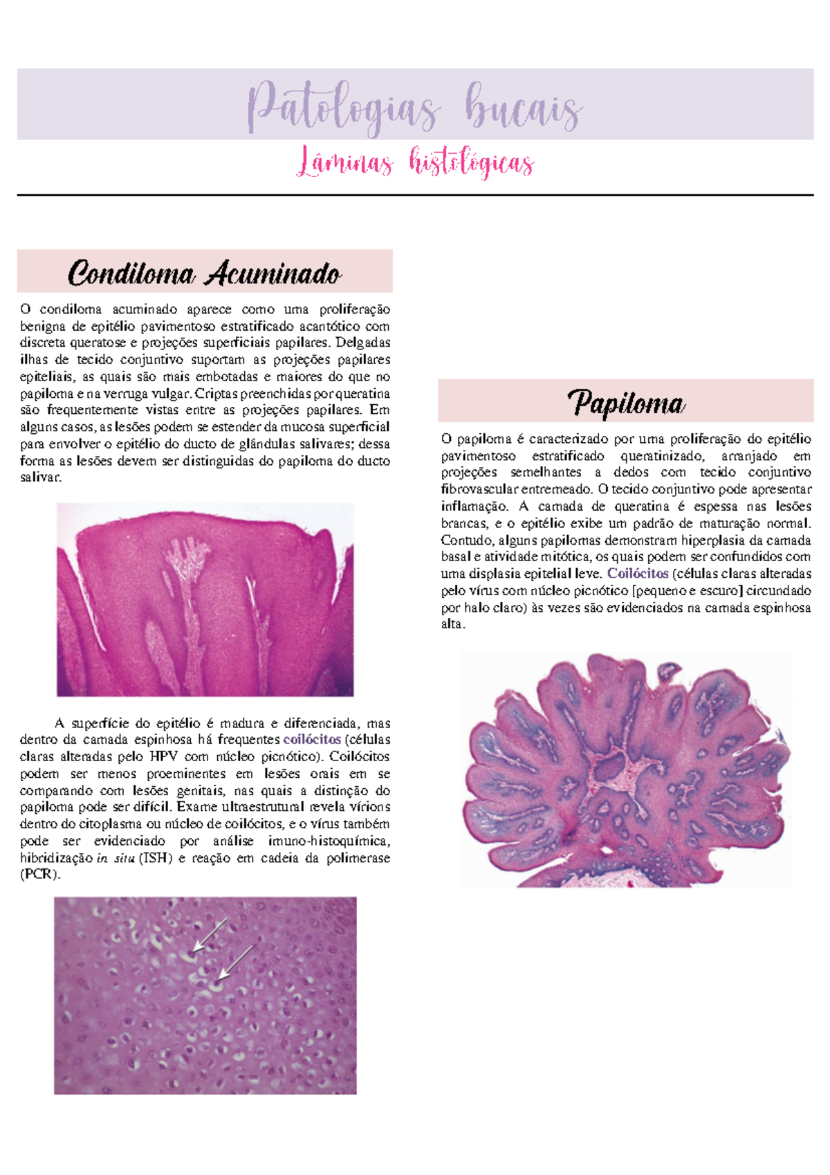 Lâminas patológicas - Anotações de Aula. - O condiloma acuminado ...