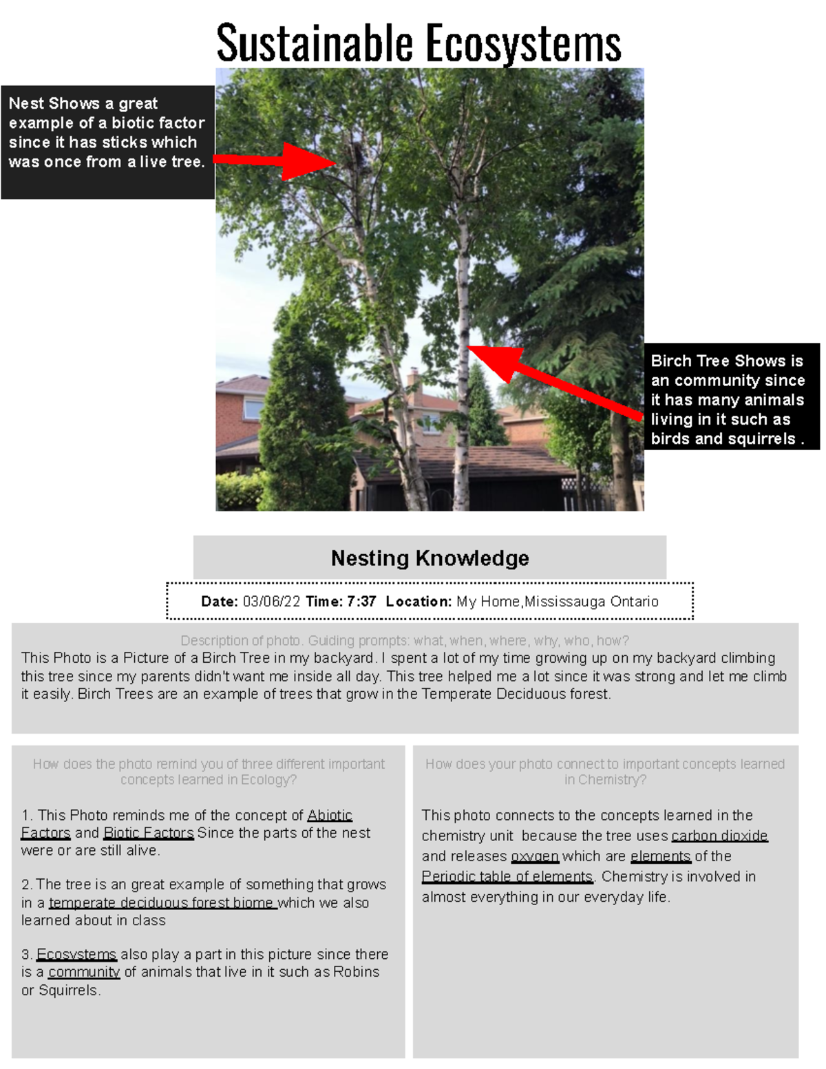 Ecology CPT template 2 rwebEWHB4W2Q Sustainable Ecosystems Nesting