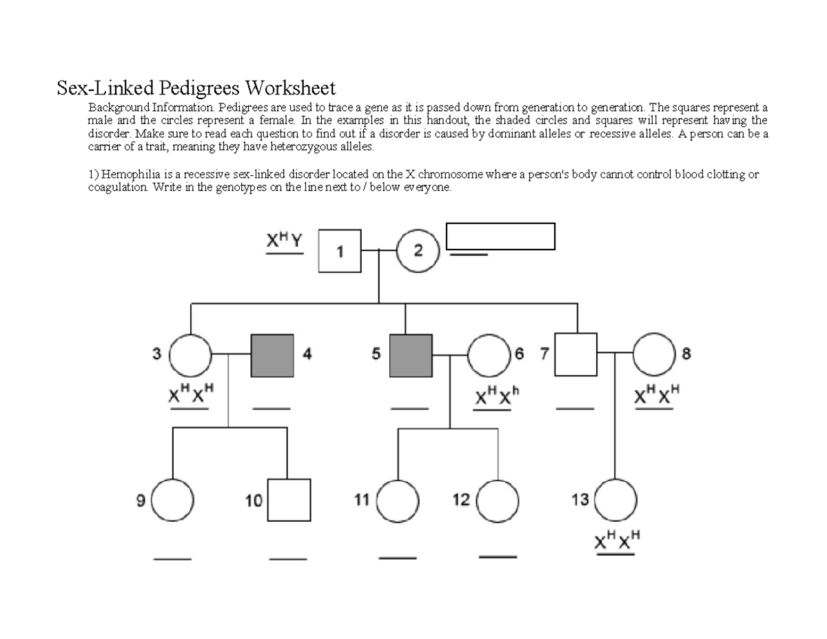 Sex Linkined Pedigree 2 Sex Linked Pedigrees Worksheet Background Information Pedigrees Are 6235