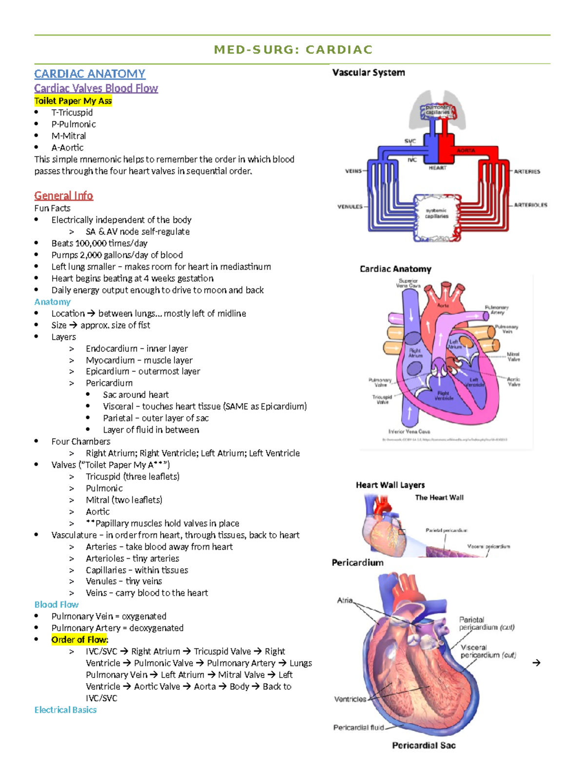 MED-SURG Cardiac Lecture notes - CARDIAC ANATOMY Cardiac Valves Blood ...