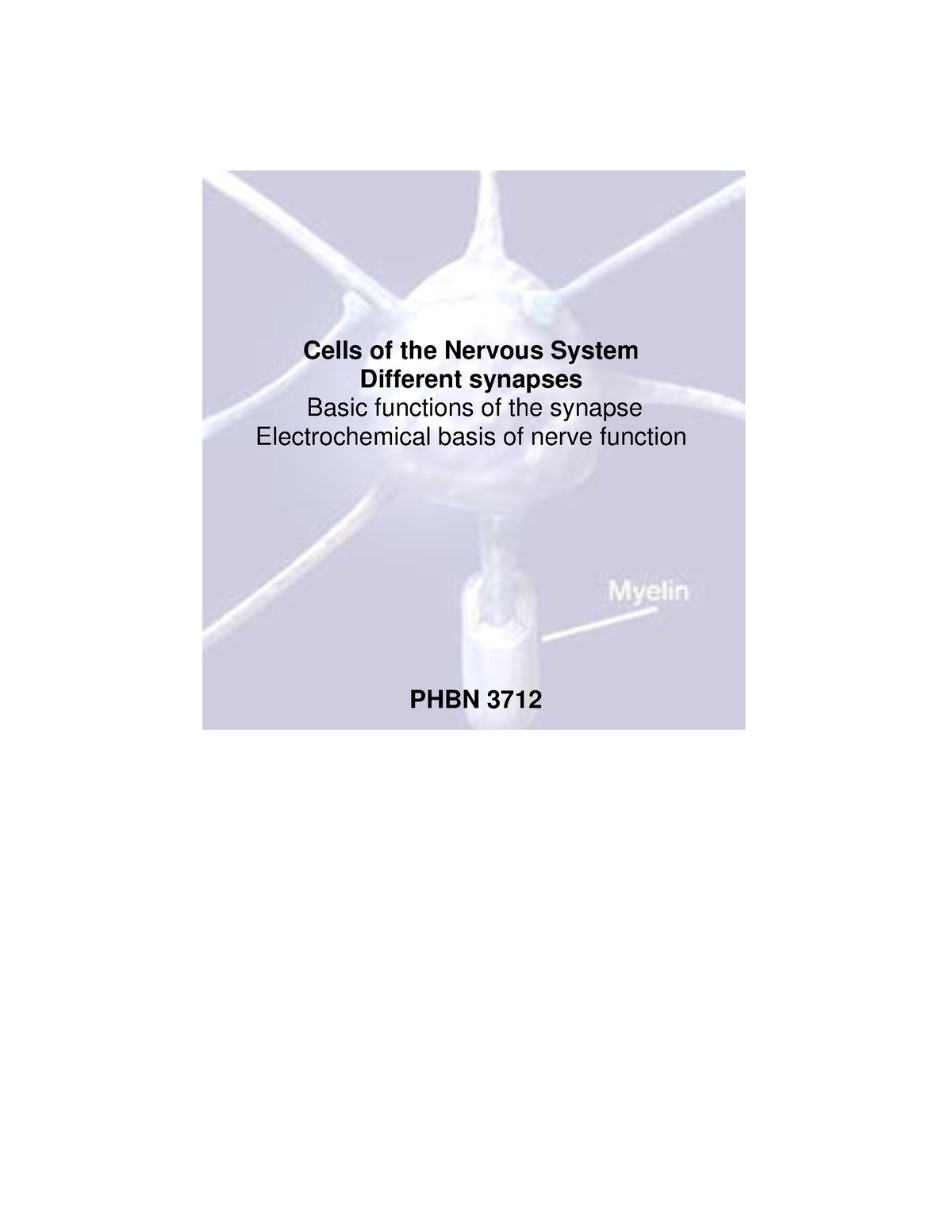 PHBN 3712 Session 4 2024 PHBN 3712 Cells of the Nervous System