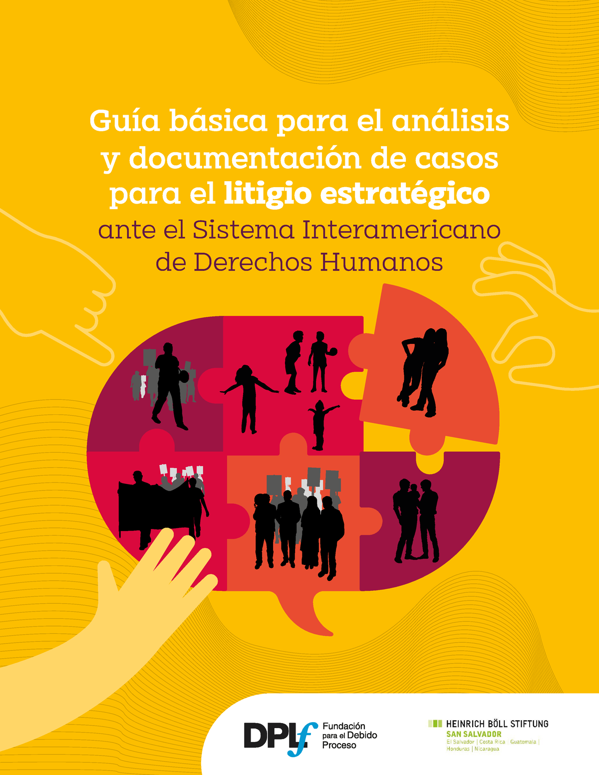 Guia Basica Para Analisis Y Documentacion De Casos Para El Litigio ...