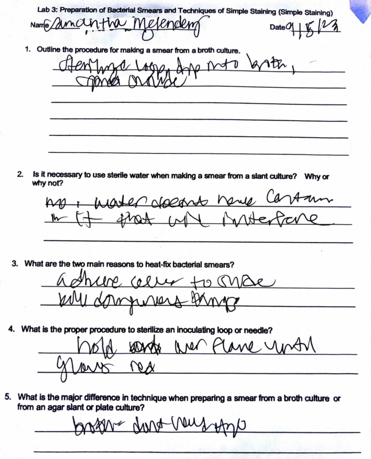 BIO205 lab 3 lab 3 Lab 3 Preparation of Bacterial Smears and