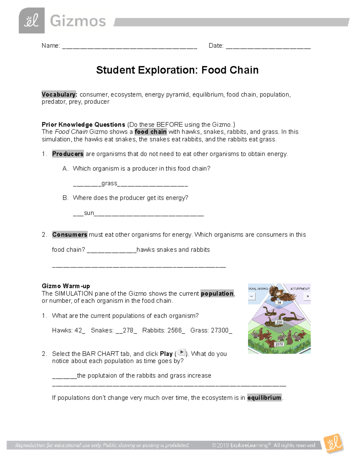 food-chain-worksheet-name