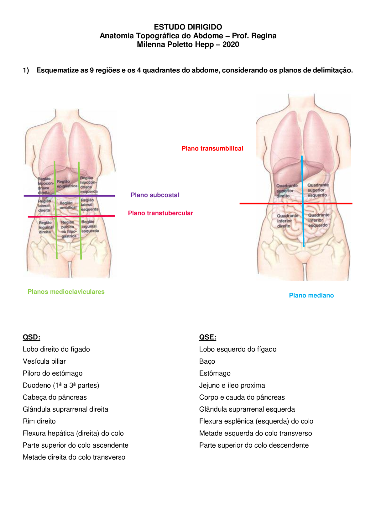 SanarFlix Medicina - Para facilitar o entendimento, o estagiário cedeu uma  foto do abdômen para vocês entenderem melhor a topografia abdominal. Quem  tem dificuldade com esses nomes, salva o post! #sanarflix #medicina #