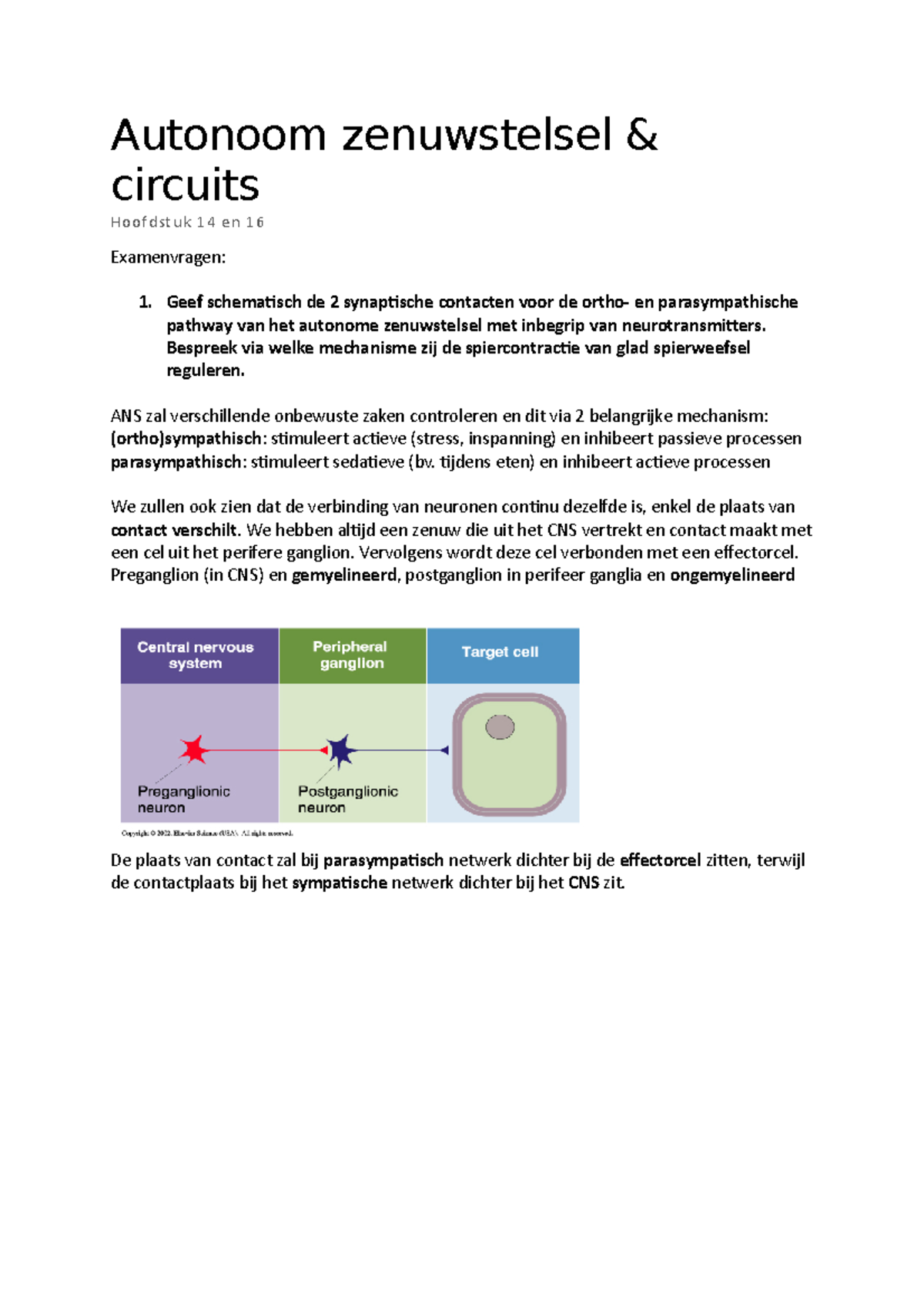 H14&16 Autonoom Zenuwstelsel - Autonoom Zenuwstelsel Circuits Hoofdstuk ...