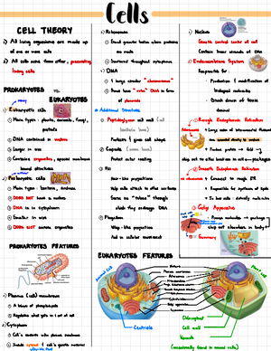 Human Karyotyping Gizmo - Name: Date: 5/19/ Student Exploration: Human ...