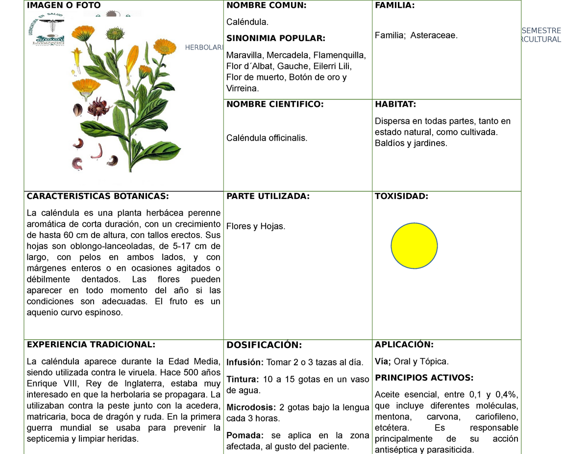 Ficha Manual DE Herbolaria, Calendula officinalis - CUARTO SEMESTRE  LICENCIATURA EN SALUD - Studocu