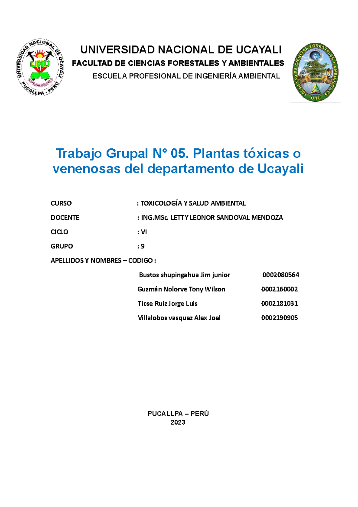 Actividad Grupal N° 06. Grupo 9 - UNIVERSIDAD NACIONAL DE UCAYALI ...