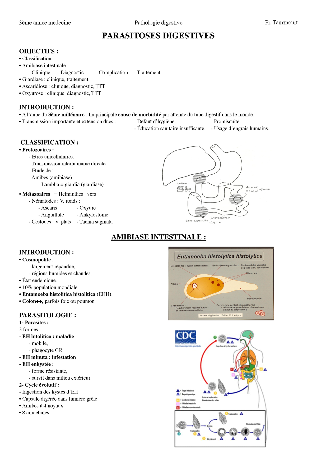 7- Parasitoses digestives - PARASITOSES DIGESTIVES OBJECTIFS ...