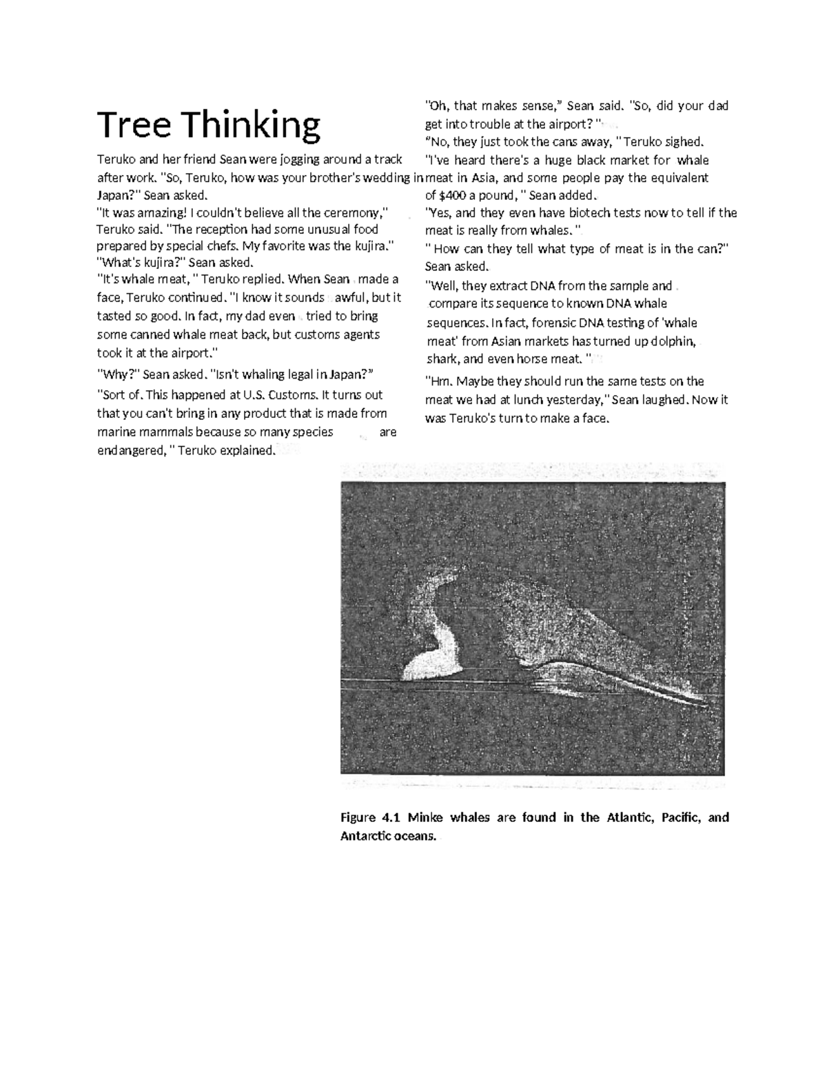 TREE Thinking CS OLA - Tree Thinking Teruko and her friend Sean were ...