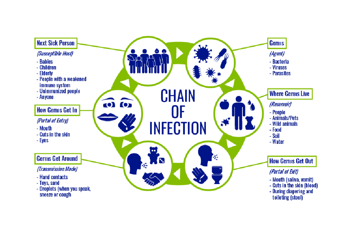 3.1 Chain of infection - Next Sick Person Germs (Susceptible Host ...