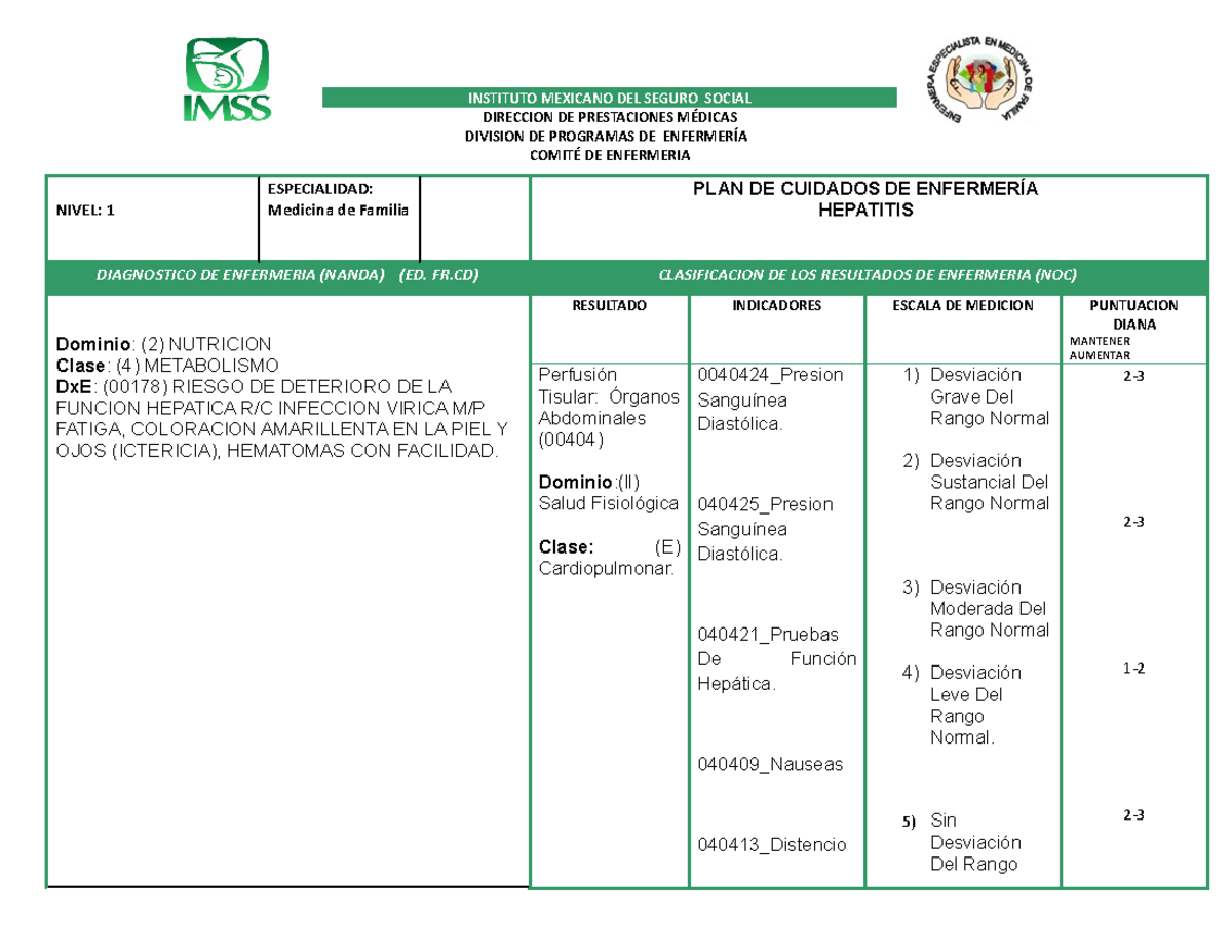 Place DE Hepatitis - Proceso Enfermero - NIVEL: 1 ESPECIALIDAD ...