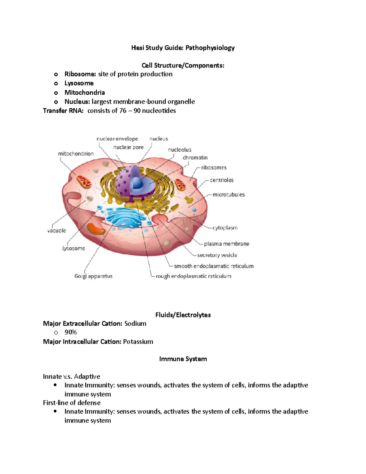 Hesi Study Guide Patho - Notes - Hesi Study Guide: Pathophysiology Cell ...