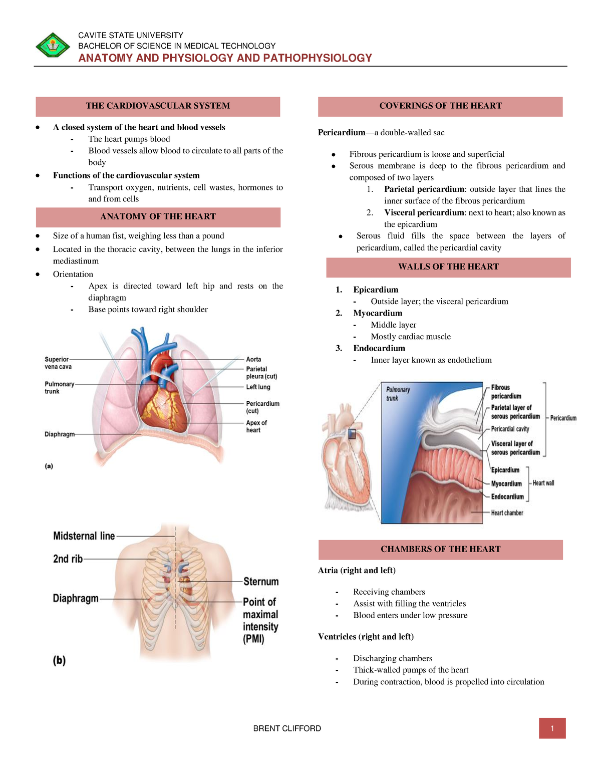 Cardiovascular - transes - BACHELOR OF SCIENCE IN MEDICAL TECHNOLOGY ...