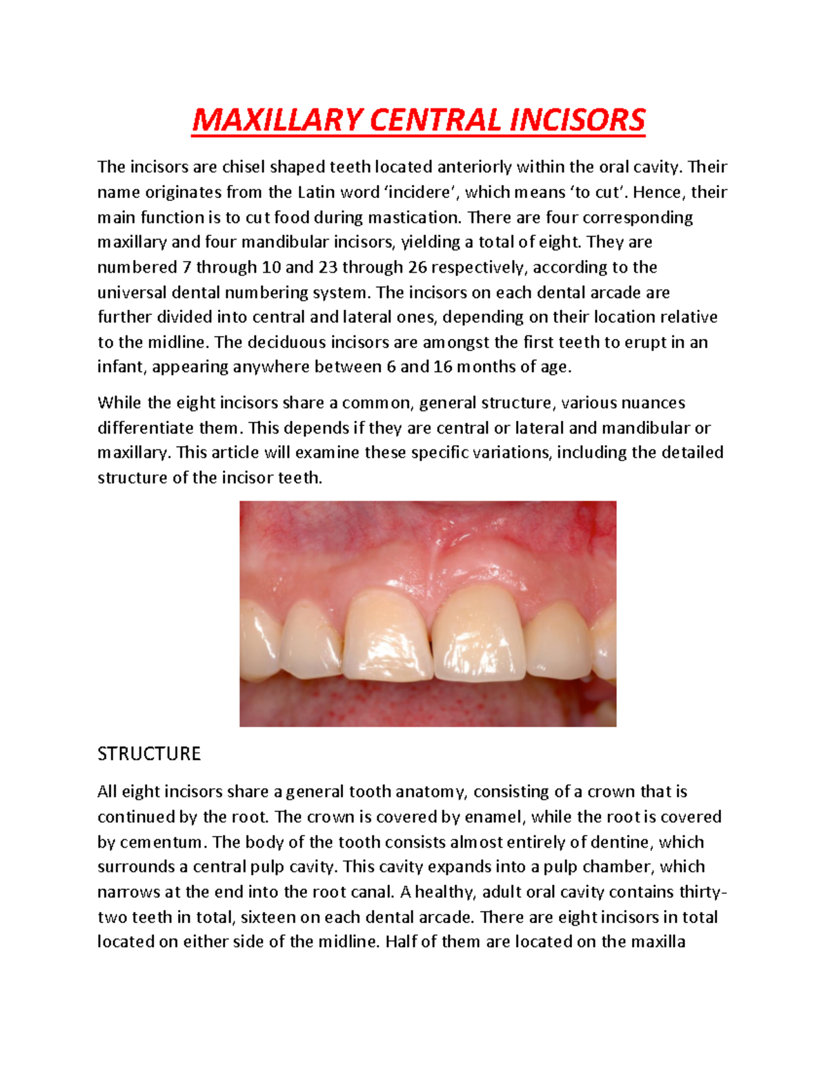 Maxillary Central Incisors MAXILLARY CENTRAL INCISORS The incisors