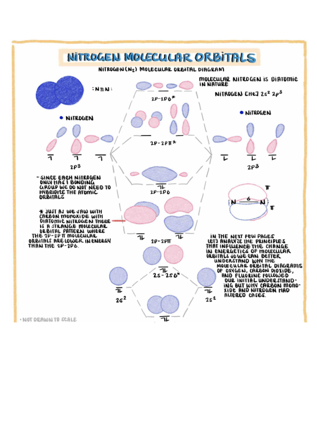 Nitrogen Molecular Orbitals CHEM12A Studocu