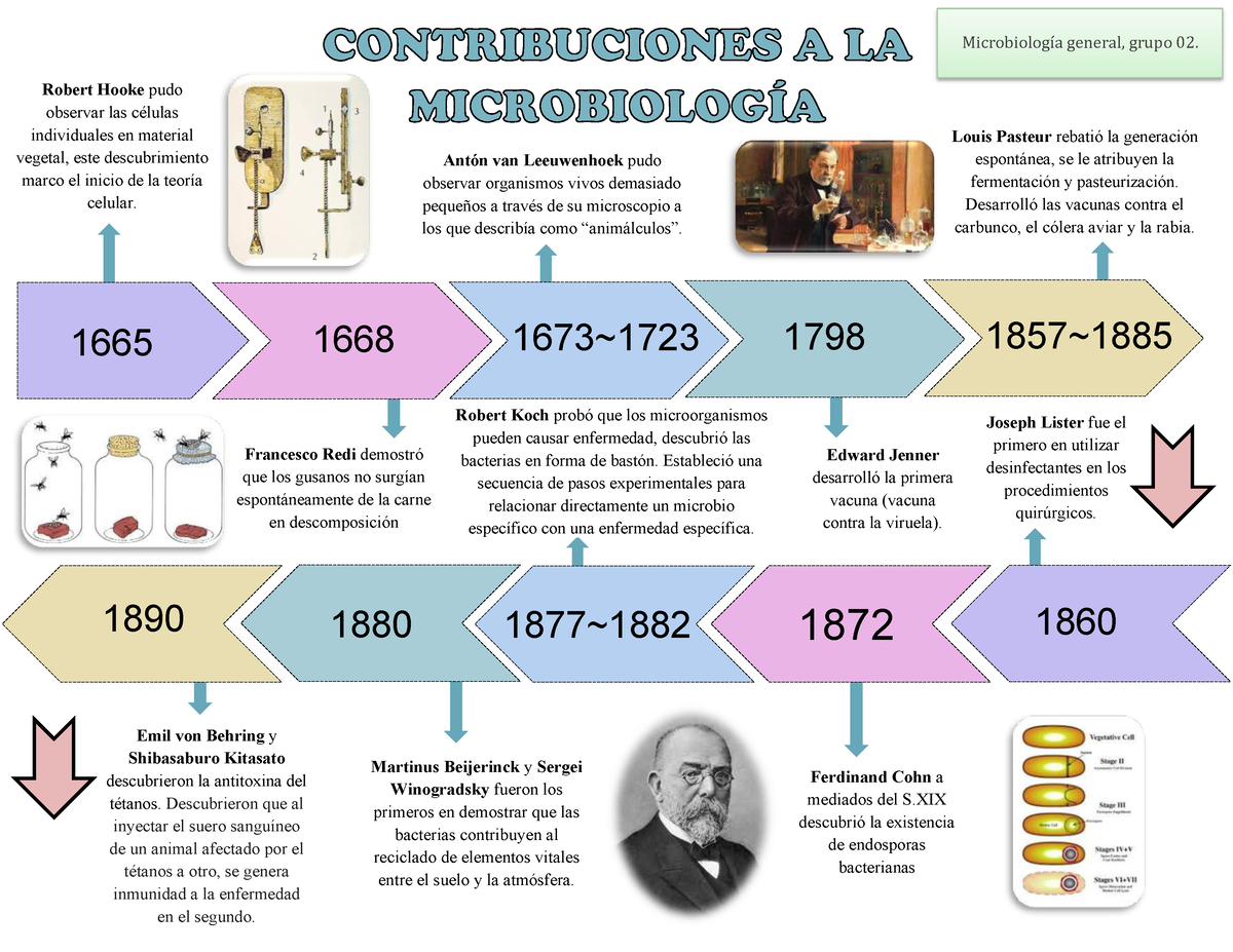 Linea Del Tiempo De La Microbiologia Microbiologia Ipn Studocu | Images ...