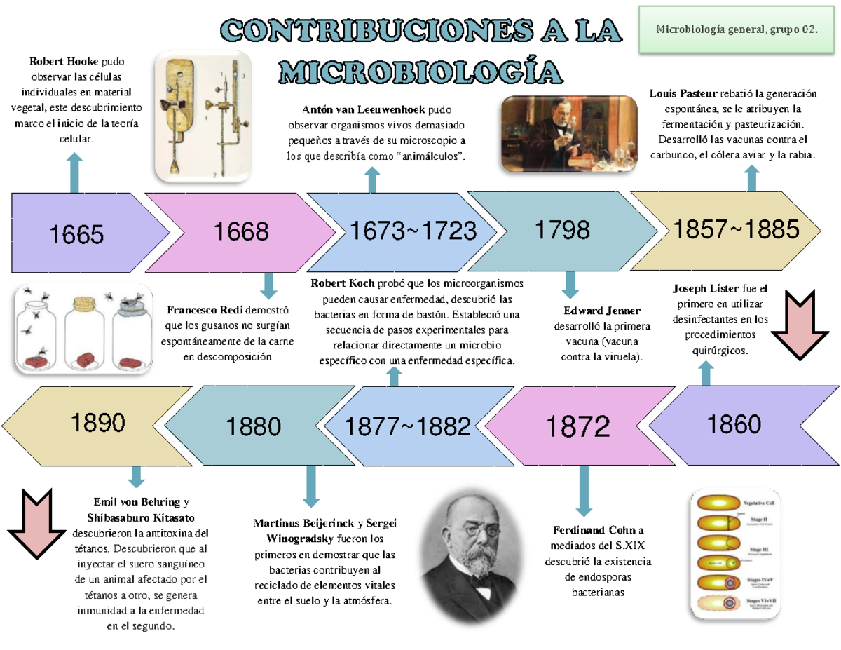 Linea Del Tiempo De La Microbiologia Microbiologia Ipn Studocu | Images ...