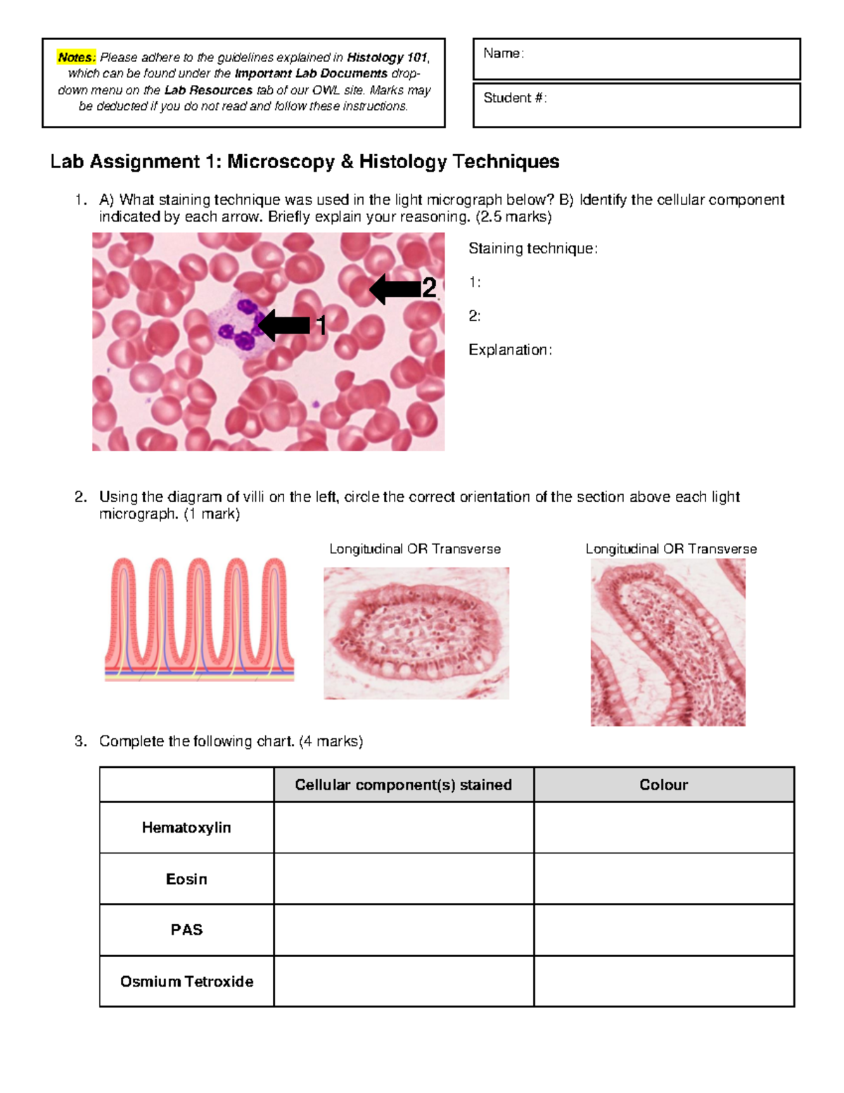 Lab 1 assignment questions - Name: Student #: Lab Assignment 1 ...