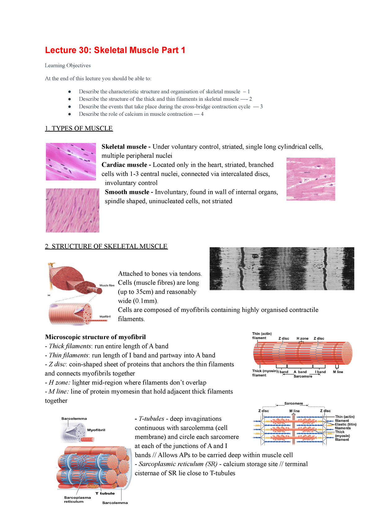 Module 7 Muscles - Lecture 30: Skeletal Muscle Part 1 Learning ...