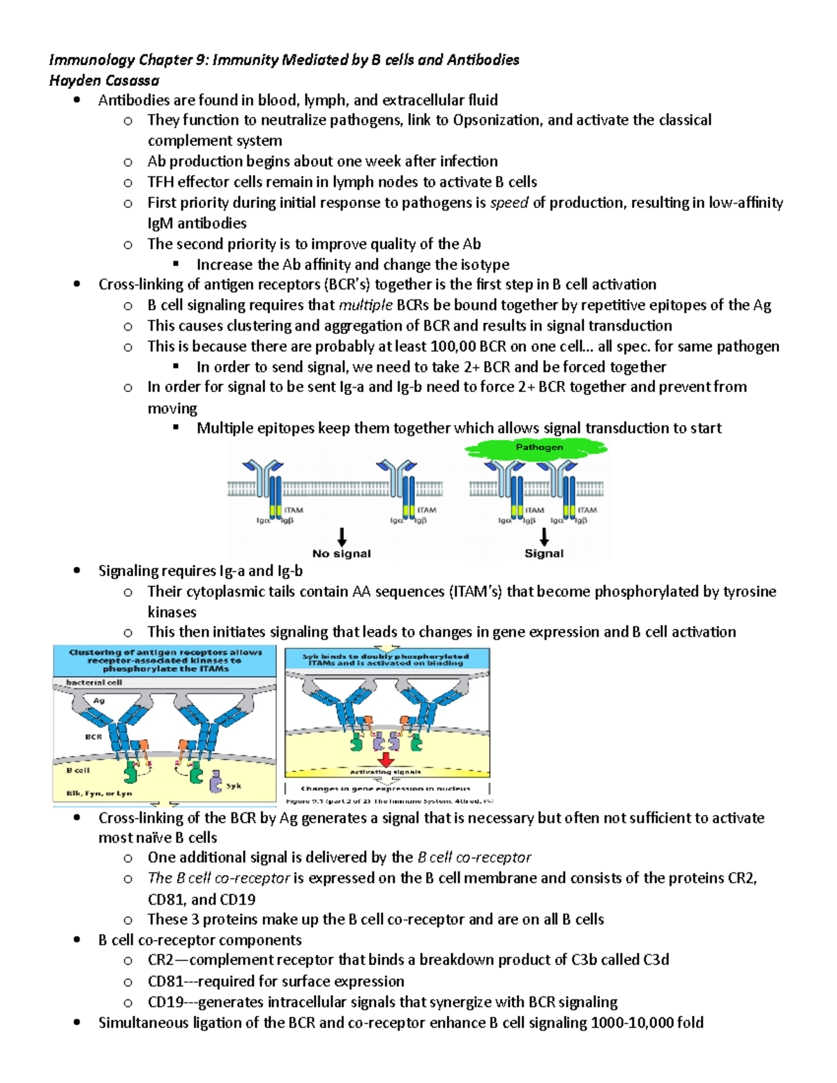 Chapter 9 Notes - Immunology Chapter 9: Immunity Mediated By B Cells ...