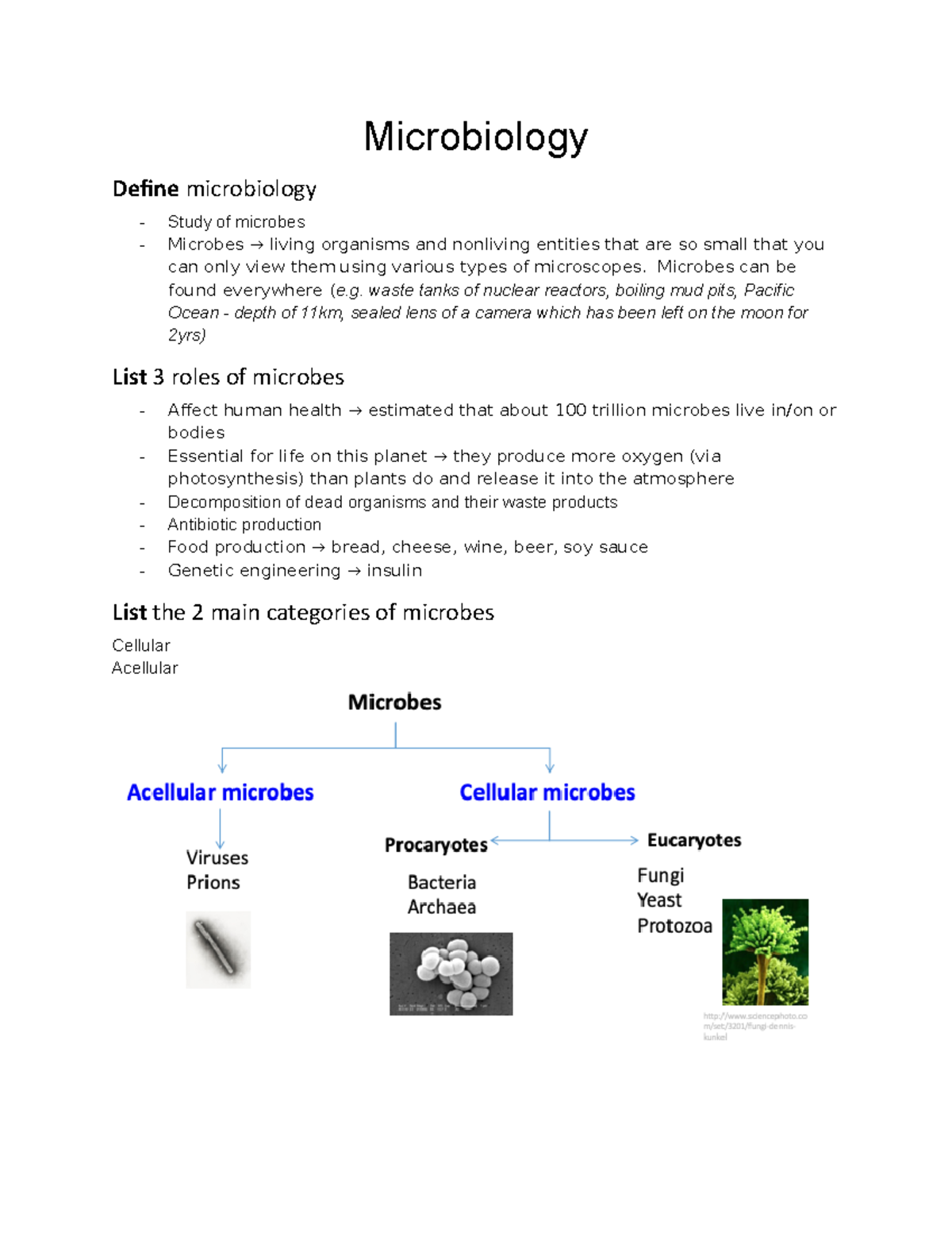 Microbiology Study Notes Distinction _____ - Microbiology Define ...