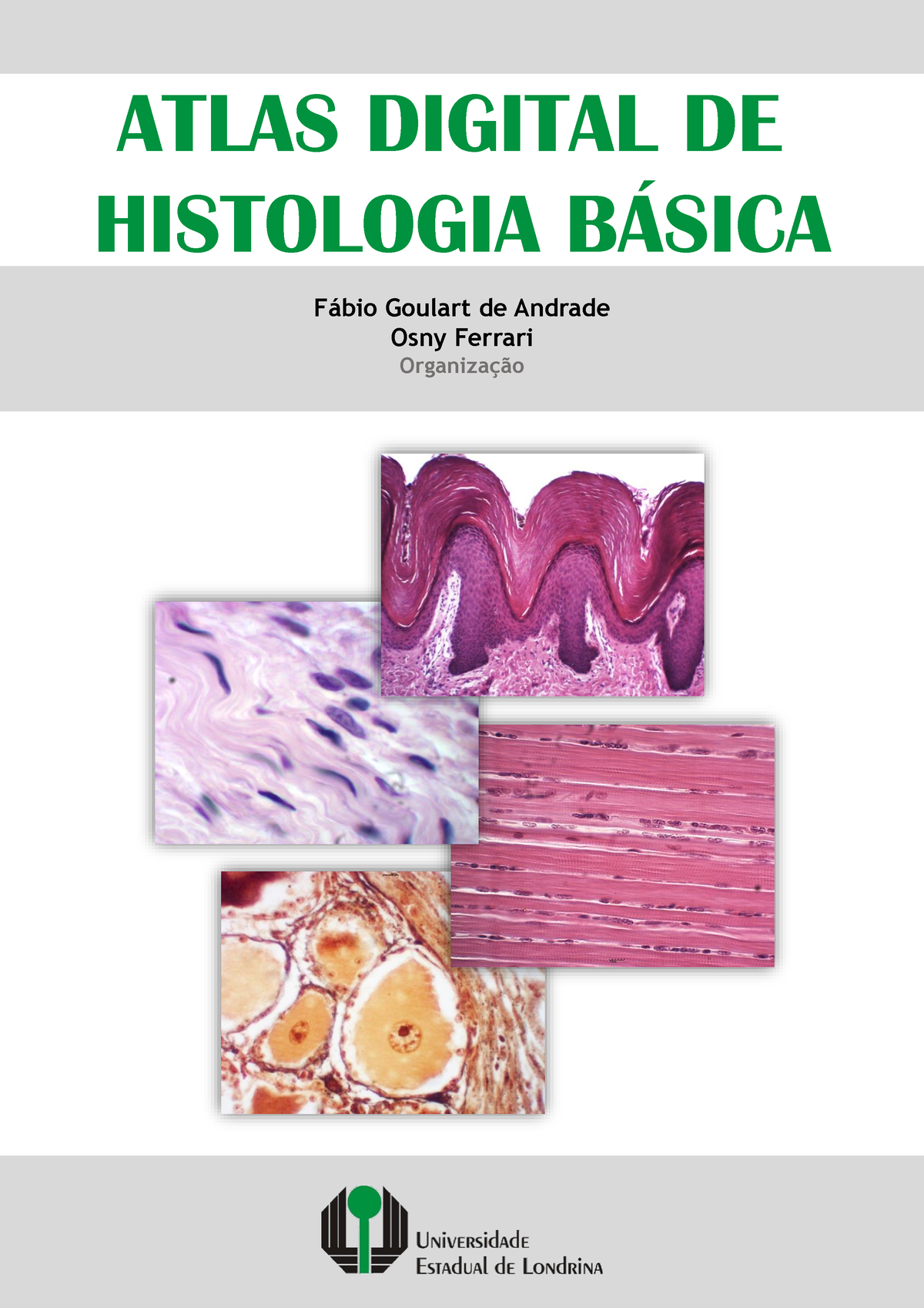 Atlas Digital De Histologia Basica 2018 - ATLAS DIGITAL DE HISTOLOGIA B ...