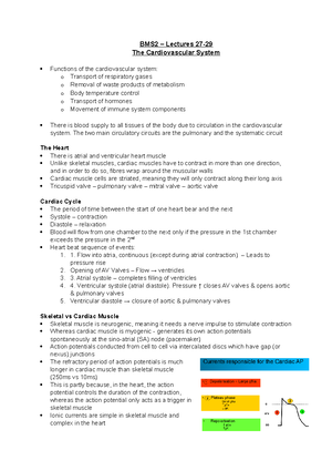 Cardiovascular System
